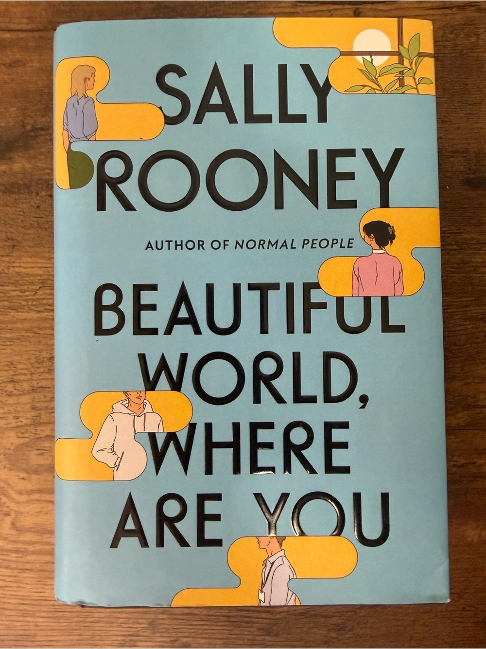 📚3 for $12📚 Beautiful World, Where Are You by Sally Rooney - Blue Hardcover